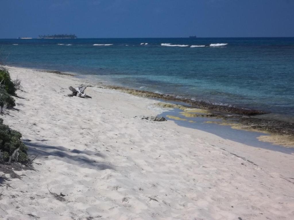דירות San Andrés Sandy'S Place מראה חיצוני תמונה